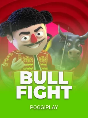 Bull Fight
